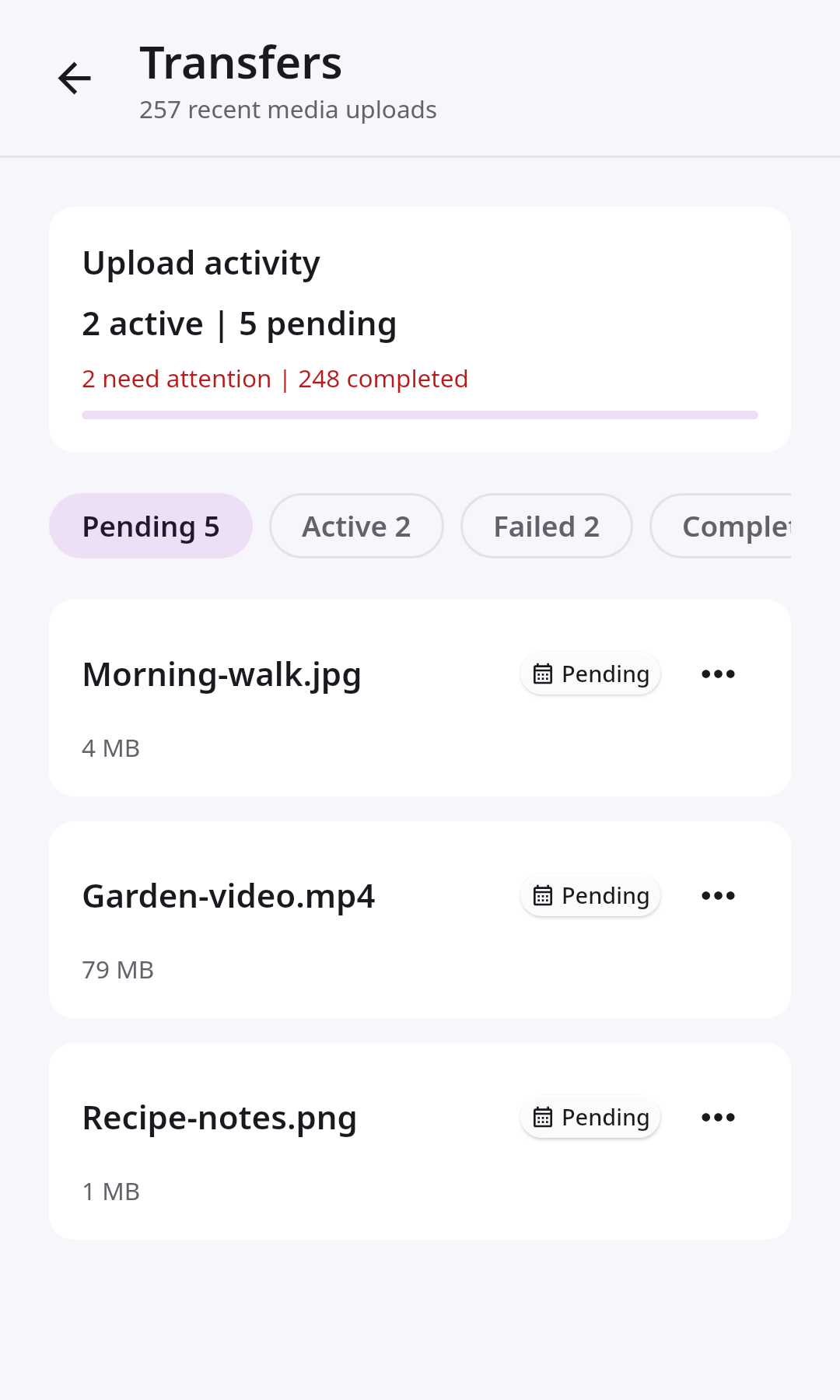 Guides Photo backup: Pending transfer queue