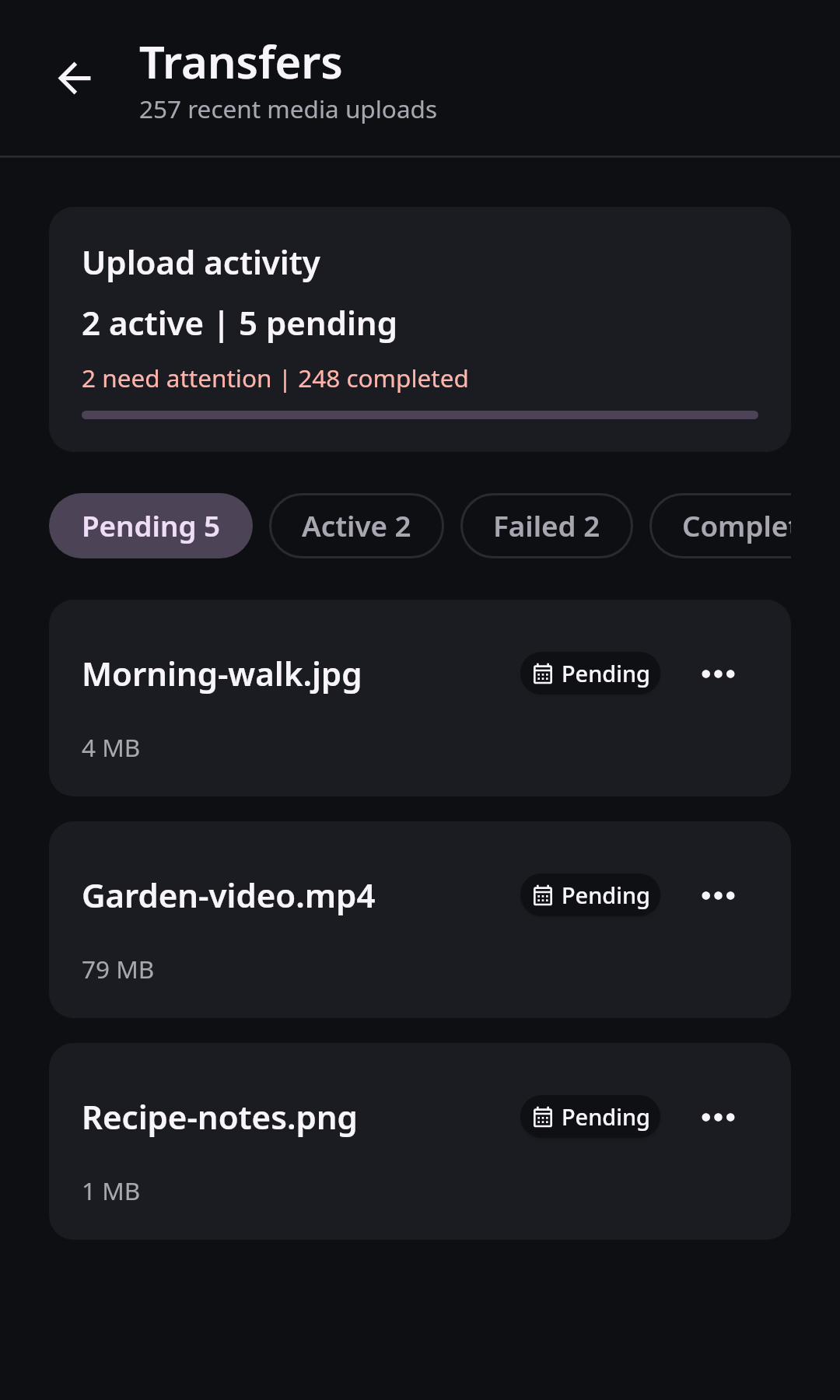 Guides Photo backup: Pending transfer queue